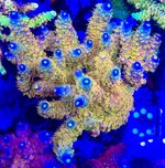 IMG_6443.jpeg