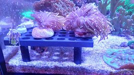 20241230_193654.jpg 20241230_193654.jpg