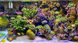 IMG_3932.jpeg