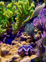 IMG_4079.jpeg