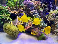 IMG_3954.jpeg