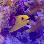 IMG_3304.jpeg