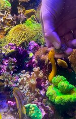 IMG_4196.jpeg