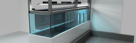Aquarium_2025-Jan-01_08-12-59PM-000_CustomizedView1585193052.png