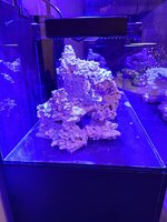 1000052199.jpg 1000052199.jpg