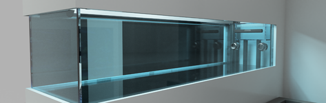 Aquarium_2025-Jan-01_11-40-03PM-000_CustomizedView24414756363.png