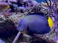 IMG_3500.jpeg