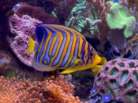 IMG_3503.jpeg