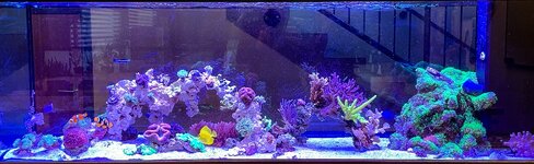 IMG_8863.jpeg