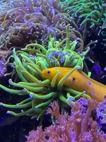 IMG_4240.jpeg IMG_4240.jpeg