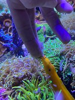 IMG_4228.jpeg IMG_4228.jpeg