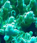 20250103_201254.jpg