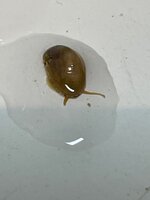 IMG_9725.jpeg