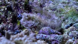 IMG_3537.jpeg
