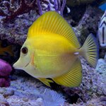 IMG_3542.jpeg