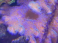 IMG_7500.jpg