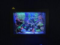 IMG_9014.jpeg