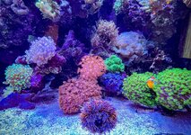 IMG_9010.jpeg