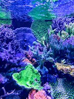 IMG_9011.jpeg
