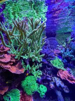 IMG_9012.jpeg