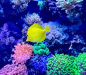 IMG_9033.jpeg