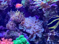 IMG_9043.jpeg