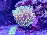 IMG_9047.jpeg