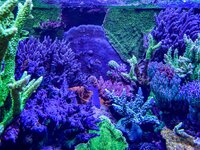 IMG_9044.jpeg