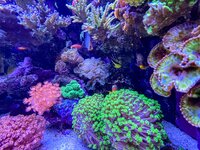 IMG_9041.jpeg
