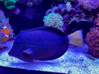 IMG_9024.jpeg