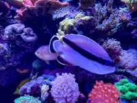 IMG_9025.jpeg