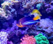 IMG_9038.jpeg