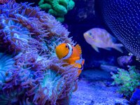 IMG_9027.jpeg
