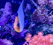 IMG_9049.jpeg