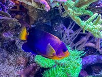 IMG_9055.jpeg