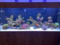 IMG_0849.jpeg