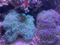IMG_7519.jpg IMG_7519.jpg
