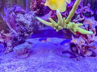 IMG_9091.JPG