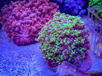 IMG_9095.JPG