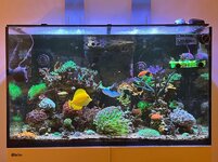 IMG_3447.jpg