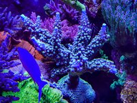 IMG_9140.jpeg IMG_9140.jpeg