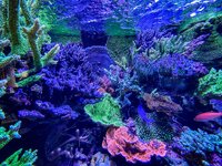 IMG_9136.jpeg IMG_9136.jpeg