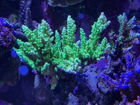 IMG_9138.jpeg IMG_9138.jpeg