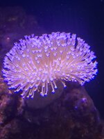 20250207_182611.jpg