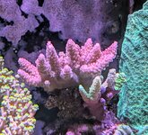 PXL_20250217_140400367~2.jpg