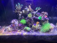 IMG_0157.jpeg