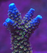 20250221_004909.jpg