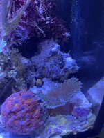 IMG_6314.jpeg