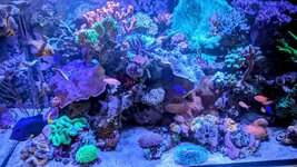 PXL_20250223_103312846~2.jpg