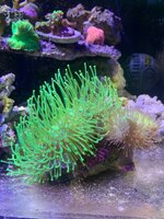 IMG_0158.jpeg